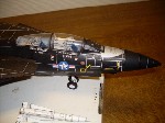 k-F-14 Tomcat (25).JPG

249,85 KB 
640 x 480 
18.03.2009
